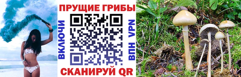 Галлюциногенные грибы MAGIC MUSHROOMS  Ужур 